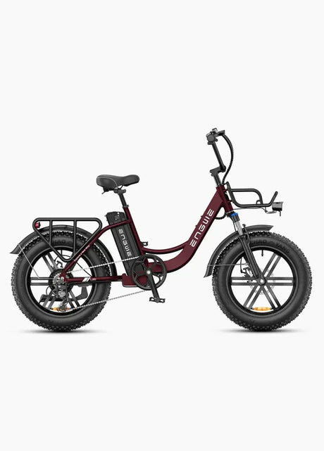 ENGWE L20 Boost Bicicletta Elettrica ENGWE