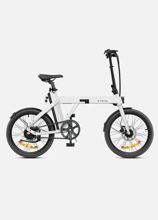 ENGWE P20 Bicicletta Elettrica